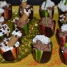Tulips with chocolate mousse